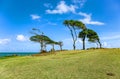 North coast, Pointe Allegre, Basse-Terre, Guadeloupe, Caribbean Royalty Free Stock Photo