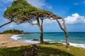 North coast, Pointe Allegre, Basse-Terre, Guadeloupe, Caribbean