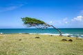 North coast, Pointe Allegre, Basse-Terre, Guadeloupe, Caribbean Royalty Free Stock Photo