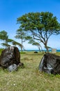 North coast, Pointe Allegre, Basse-Terre, Guadeloupe, Caribbean Royalty Free Stock Photo