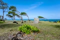 North coast, Pointe Allegre, Basse-Terre, Guadeloupe, Caribbean Royalty Free Stock Photo