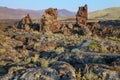 North Crater Flow Trail, Craters of the Moon National Monument, Idaho, USA