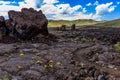 North Crater Flows, Craters of the Moon National Monument Royalty Free Stock Photo