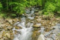 North Creek - Wild Mountain Trout Stream - 5 Royalty Free Stock Photo