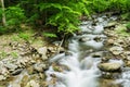 North Creek - Wild Mountain Trout Stream - 2 Royalty Free Stock Photo