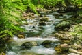 North Creek - Wild Mountain Trout Stream - 4 Royalty Free Stock Photo