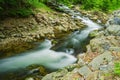 North Creek - Wild Mountain Trout Stream Royalty Free Stock Photo