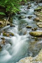 North Creek - Wild Mountain Trout Stream - 3