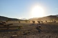 North Cyprus farmers landscape Royalty Free Stock Photo