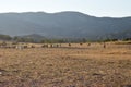 North Cyprus farmers landscape Royalty Free Stock Photo