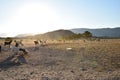 North Cyprus farmers landscape Royalty Free Stock Photo