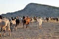 North Cyprus farmers landscape Royalty Free Stock Photo