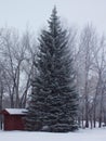 North Dakota Snowscene