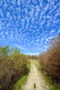 North Downs near Otford in Kent, UK. Scenic view of the English countryside with blue sky and white clouds. Royalty Free Stock Photo