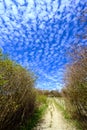 North Downs near Otford in Kent, UK. Scenic view of the English countryside with blue sky and white clouds. Royalty Free Stock Photo