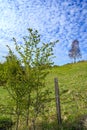 North Downs near Otford in Kent, UK. Scenic view of the English countryside with blue sky and white clouds. Royalty Free Stock Photo