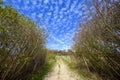 North Downs near Otford in Kent, UK. Scenic view of the English countryside with blue sky and white clouds. Royalty Free Stock Photo