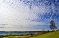 North Downs near Otford in Kent, UK. Scenic view of the English countryside with lone tree and panoramic view.