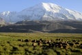 North face of the Mustagh Ata. China