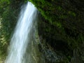 North Falls with Ferns Royalty Free Stock Photo