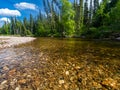 North Fork of the Chena River Royalty Free Stock Photo