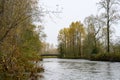 North Fork Snoqualmie River on a foggy fall day, bridge in the background Royalty Free Stock Photo