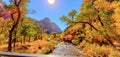 Zion Canyon and North Fork Virgin River in Zion National Park, Utah Royalty Free Stock Photo