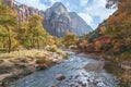 North Fork Virgin River and surrounding mountains in Zion National Park Royalty Free Stock Photo