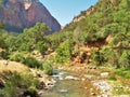 North Fork Virgin River in Zion National Park Royalty Free Stock Photo