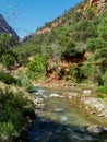 North Fork Virgin River in Zion National Park Royalty Free Stock Photo