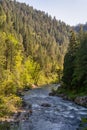 North Fork of the Yuba River in the Forest in the Sierra Nevada Mountains Royalty Free Stock Photo