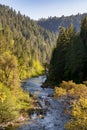 North Fork of the Yuba River in the Forest in the Sierra Nevada Mountains Royalty Free Stock Photo