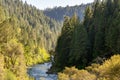 North Fork of the Yuba River in the Forest in the Sierra Nevada Mountains Royalty Free Stock Photo
