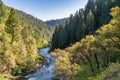 North Fork of the Yuba River in the Forest in the Sierra Nevada Mountains Royalty Free Stock Photo