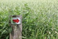 North German red arrow directional sign meadow forest nature Germany