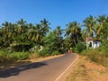 North Goa, India - December 4, 2018 View of the tall green palm trees and the road against the blue sky Royalty Free Stock Photo