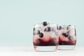 North homemade liquors in two glasses with ice cubes, blueberry on soft pastel green background and white wood table, copy space.