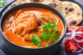 North Indian thaali-Punjabi non vegetarian meals Royalty Free Stock Photo