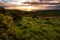 Ireland landscape Royalty Free Stock Photo