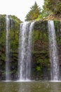North island. New Zealand. Whangarei waterfall. Royalty Free Stock Photo