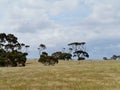 The north of Kangaroo island Royalty Free Stock Photo