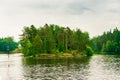 North Karelia lake, Russian wild nature. Forest growing Royalty Free Stock Photo