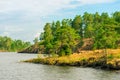 North Karelia lake, Russian wild nature. Forest growing Royalty Free Stock Photo