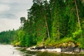 North Karelia lake, Russian wild nature. Forest growing Royalty Free Stock Photo