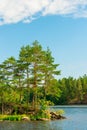 North Karelia lake, Russian wild nature. Forest growing Royalty Free Stock Photo