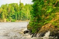 North Karelia lake, Russian wild nature. Forest growing Royalty Free Stock Photo