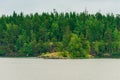 North Karelia lake, Russian wild nature. Forest growing Royalty Free Stock Photo