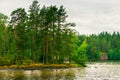 North Karelia lake, Russian wild nature. Forest growing Royalty Free Stock Photo