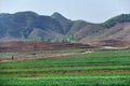 North Korea countryside landscape Royalty Free Stock Photo