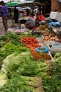 North Laos: Farmer woman selling fresh vegetables, spices and herbes at the market in Luang Brabang